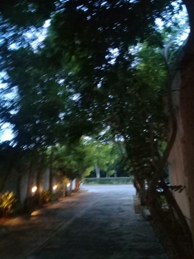Hotel 41 Valladolid Valladolid  Dış mekan fotoğraf